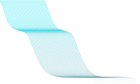 vector one